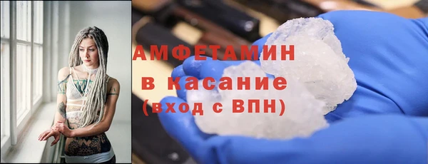 ГАЛЛЮЦИНОГЕННЫЕ ГРИБЫ Аркадак
