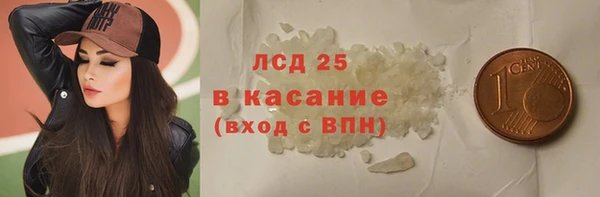 ГАЛЛЮЦИНОГЕННЫЕ ГРИБЫ Аркадак