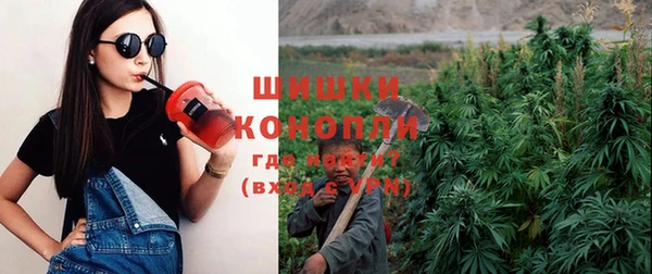 ГАЛЛЮЦИНОГЕННЫЕ ГРИБЫ Аркадак