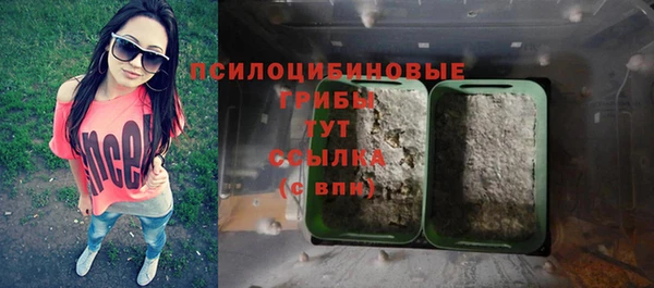 ГАЛЛЮЦИНОГЕННЫЕ ГРИБЫ Аркадак