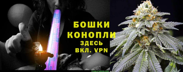 спайс Арсеньев