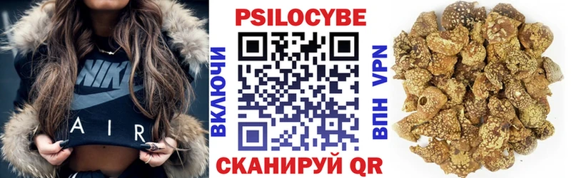 Галлюциногенные грибы Psilocybe  Белокуриха 